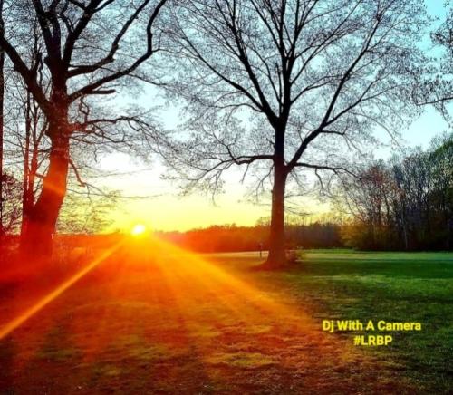 Screenshot_20260327_185524_Gallery