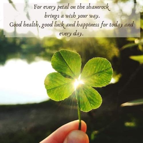 d4ab9cec-2c62-4ff6-979b-f3d1cbf5bc39