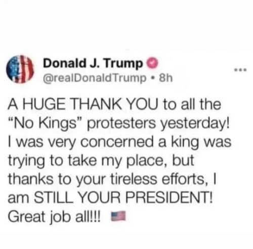 17748652061942772898888340305966_872410210091000