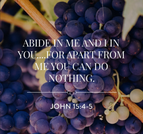 Screenshot_20260313-182513-164