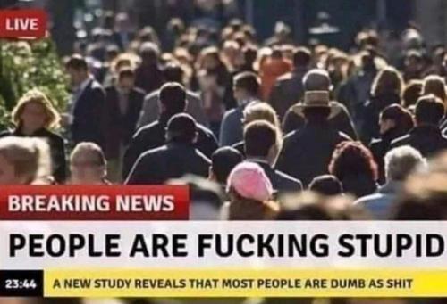 8ef36a0f-8587-4880-b02d-268f5c31f91a