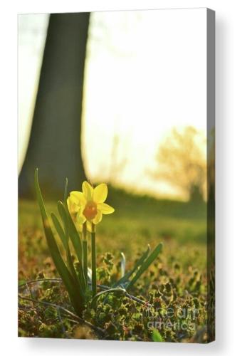 Screenshot_20260305_140945_Brave