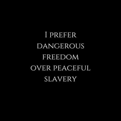 TESTHUB_photos_users_KPBY8Tc46ldqLjWXf6bqxqOW3AR2_-Oo_yb8XEHl-FxVhG9Fk_img_rsz__1100x1100