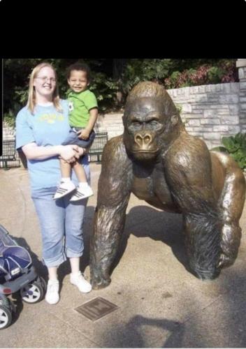 3176AF7A-F4B7-474D-9527-16B963356EA0-20131-00000929F8168A2F