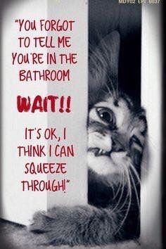 54330d42b8c45263a0d95aede497cbe8