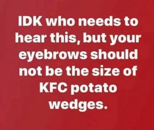 eyebrows-shouldn't-be-size-kfc-potato-wedges