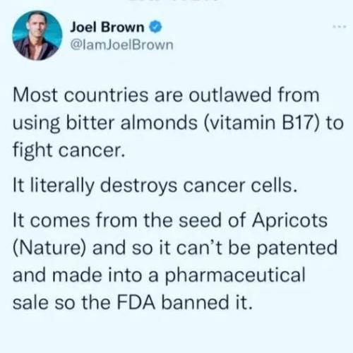 Apricot seeds vitamin B17 cancer cure