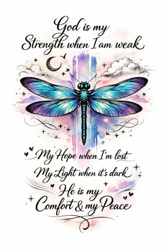 653715592_122205814112310593_7736108365832987704_n