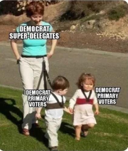 TESTHUB_photos_users_KPBY8Tc46ldqLjWXf6bqxqOW3AR2_-Ompb9m__J0dloL6O70q_img_rsz__1100x1100