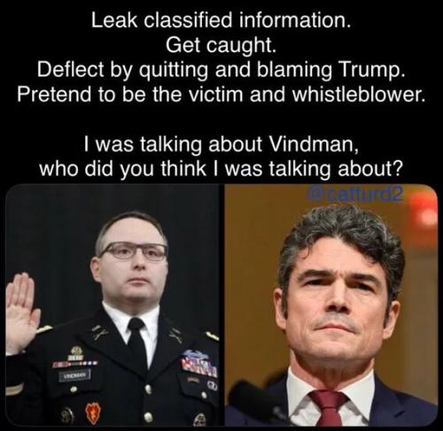 i-was-talking-about-vindman