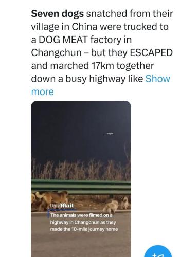 417dc4d9-07a5-4276-b87e-681142b13259