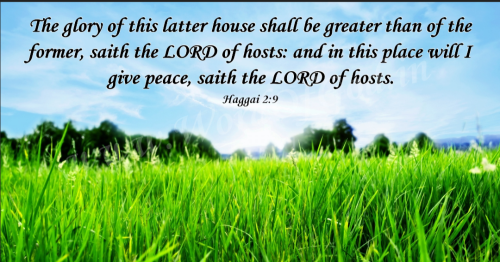 Screenshot_20260318-153333-156