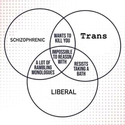 image_5ABCDD50-9FFA-4E86-B3CF-8F56A4679085