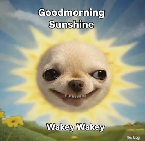 04891eaebafcb5a672154ae4757a101a