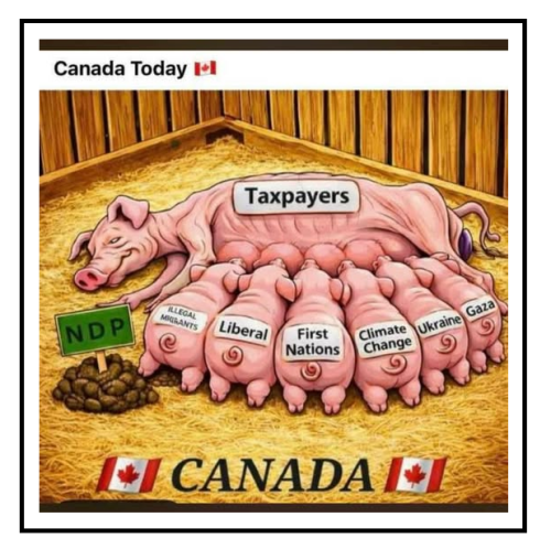 canadian taxpayers
