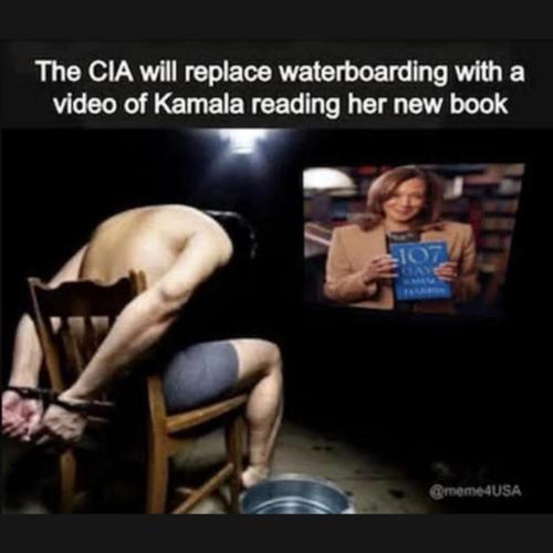 48dac5a5-472f-4fce-910f-f73f6983ad1f