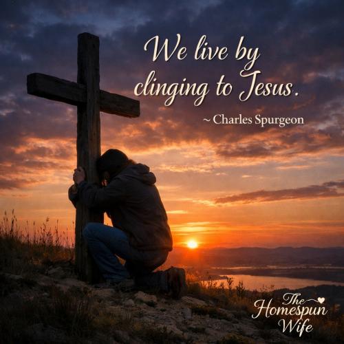 661036384_1522990259189204_1018367962396595323_n