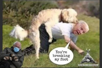 20:00:15 GMT-0600 (CST)