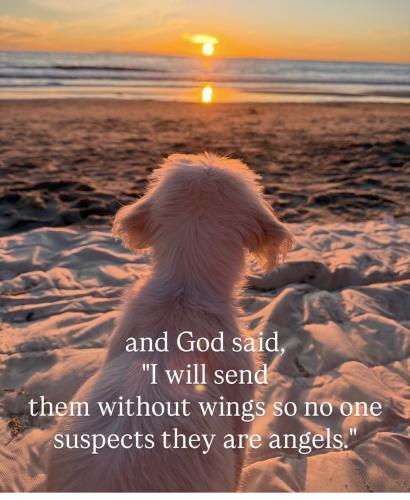 07d16f3e-0b50-4ea6-9ec4-a0a182227164