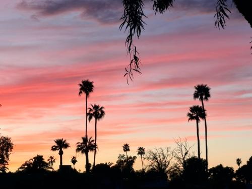 0EF58053-0300-40C8-BAB8-BE36100F0EA7