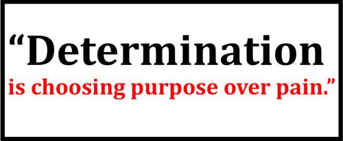 1C-Determination Quote