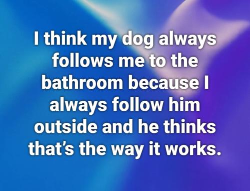 Screenshot_20260222_124906_Facebook