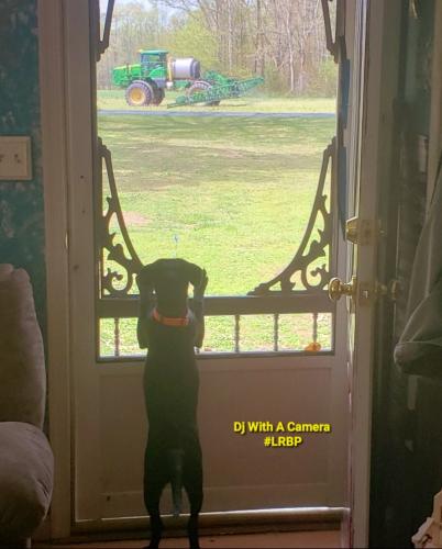 Screenshot_20260321_084322_Gallery