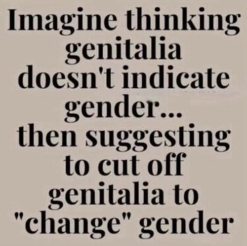 9f6f5d03-4367-4e8b-a653-1f4a91fe799f