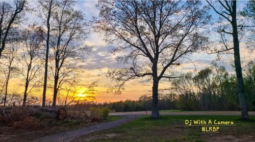 Screenshot_20260328_185433_Gallery