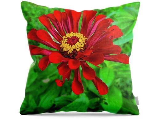 Screenshot_20260316_154253_Brave