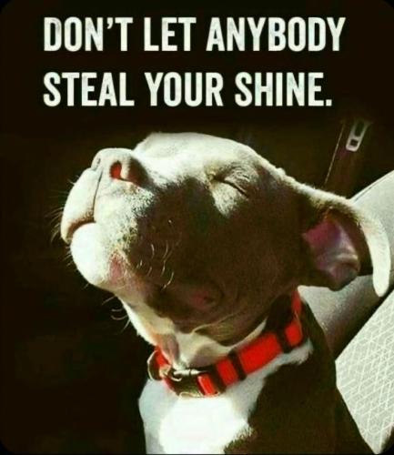 871cd4755efea938e819743bdf2e21f6