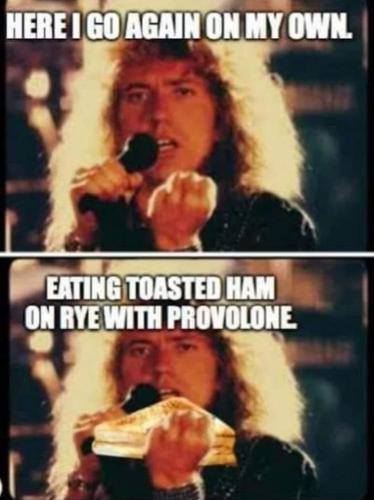 Screenshot_20260325_084121_Gallery