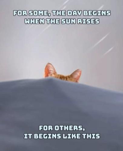 aad7ada60cf459b0d5bd173921b1cc9c