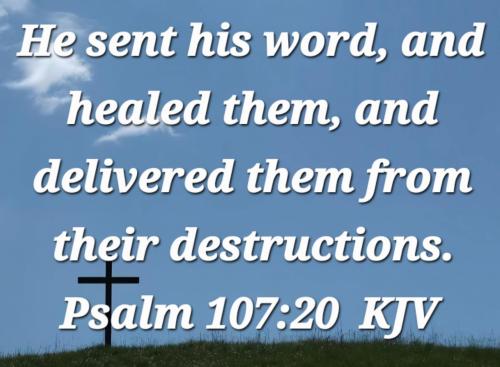 65312994-d384-46b9-b5d1-eafb4bb130f3