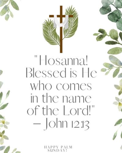 658138524_1349525530543220_4126843394862486561_n