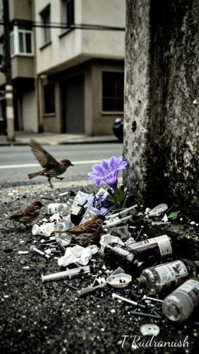 658471928_1451032513479225_7809482937154578202_n