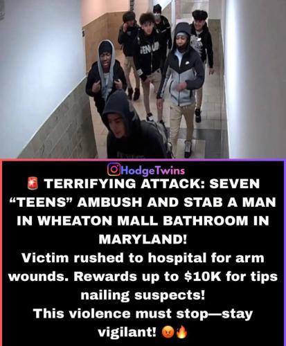 IMG_20260312_101705_234