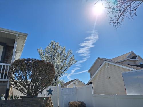 52c6bfac-ca08-4574-bf0e-eca2967d654c