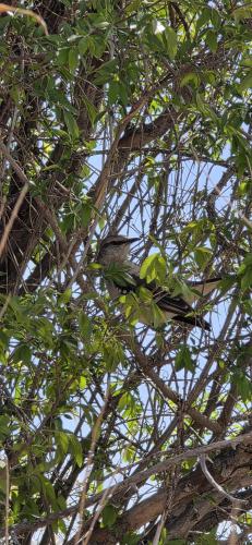 59d734c8-82bb-4378-978d-26fb3de3e60d