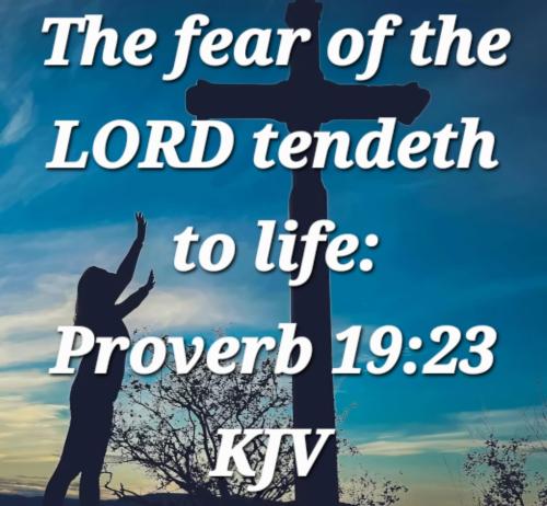 dfec865a-a6ed-48a4-bba3-ba4d008822cd