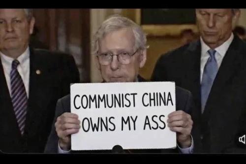 17725350480676988196892332050719_1504349503386599