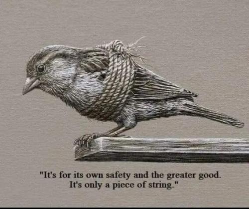 for-the-greater-good