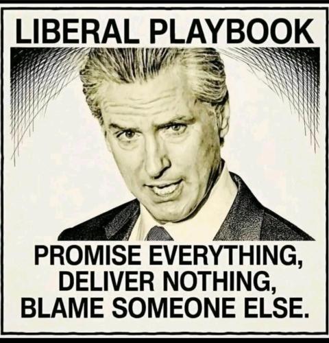 gavin newsom liberal playbook