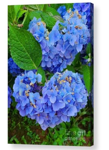 Screenshot_20260325_161730_Brave