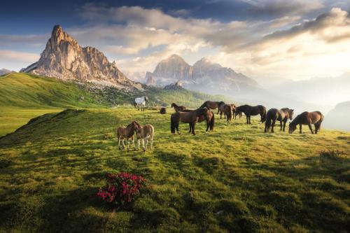 494152904_1228356189300122_7752887906146672706_n