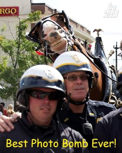 main-qimg-6897233716336a2ddf3ff6264ffe4f50