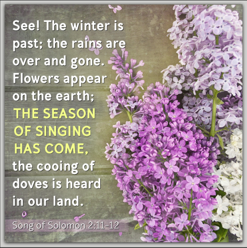 Screenshot_20260320-121327-780