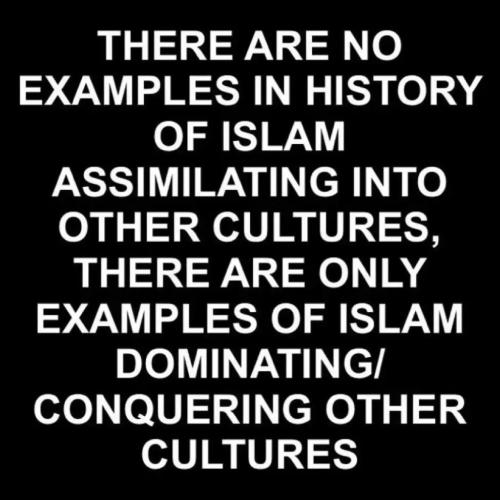 d82e15aa-0434-4d0a-a1fa-9d2a4e403b53