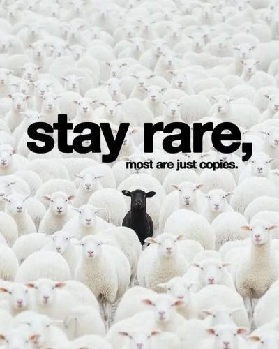 TESTHUB_photos_users_KPBY8Tc46ldqLjWXf6bqxqOW3AR2_-On_cPB8-8GFiIkd1bIU_img_rsz__1100x1100