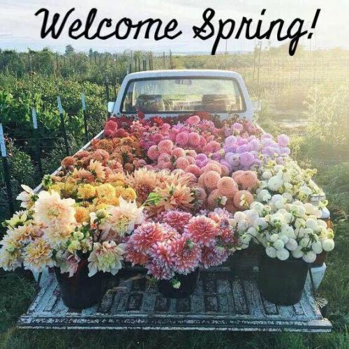 b4538db85ff23e45d8aa072c1cfe6f3b